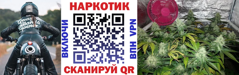Купить наркотики Подпорожье Каннабис  A-PVP  Галлюциногенные грибы  Меф мяу мяу  Гашиш 