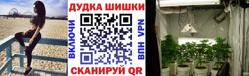 Бошки марихуана LSD WEED  купить наркотик  Подпорожье 